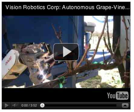 Image to go with video of: The Autonomous Grape-Vine Pruner
