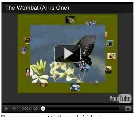 Image to go with video of: The Wombat (All is One)